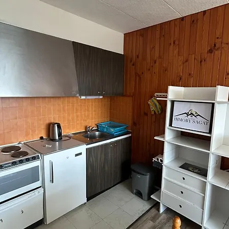 2 Pièces Vue Montagne, Proche Pistes Et - Fr-1-814-64 Appartement *