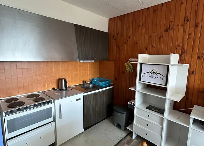 2 Pièces Vue Montagne, Proche Pistes Et - Fr-1-814-64 Appartement *