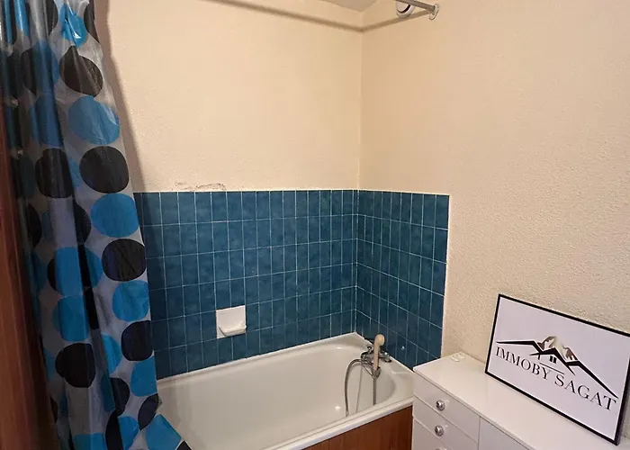 Appartement 2 Pièces Vue Montagne, Proche Pistes Et - Fr-1-814-64 Super-Besse