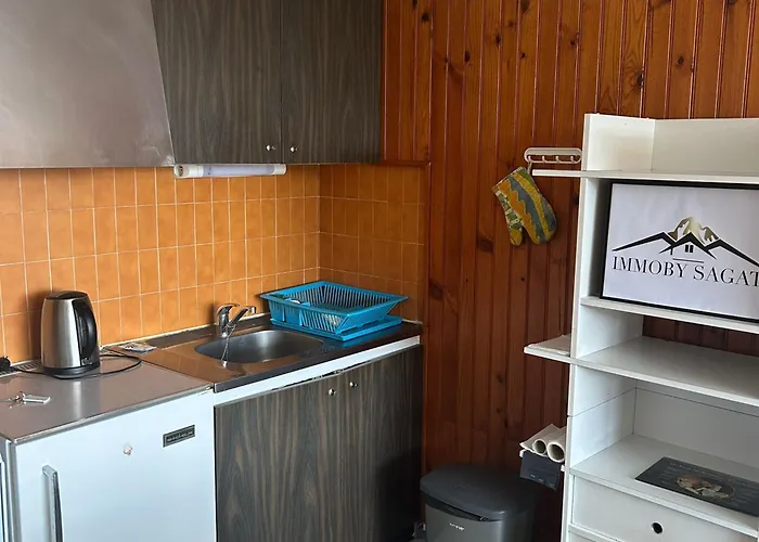 2 Pièces Vue Montagne, Proche Pistes Et - Fr-1-814-64 *