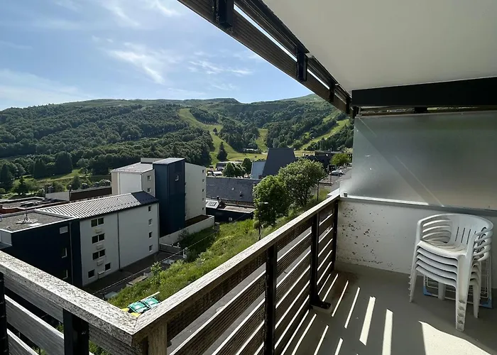 Appartement 2 Pièces Vue Montagne, Proche Pistes Et - Fr-1-814-64 Super-Besse